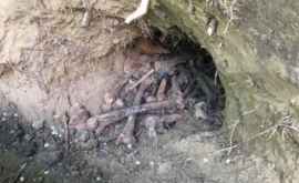 Cui aparțin rămășițele umane descoperite în spatele unei ambasade din Chișinău VIDEO