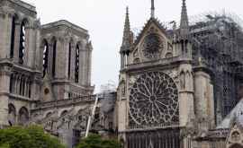 Arhitect despre posibila reconstruire din lemn a structurii Notre Dame