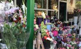 Surpriză de la FISC Ce îi așteaptă pe comercianții de flori pe 31 mai