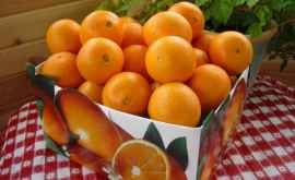 Чем обрабатывают магазинные апельсины