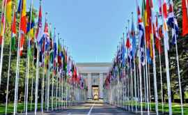 Совету Безопасности ООН будет представлен доклад о решениях Конституционного Суда 