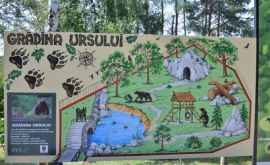 Проект стоимостью более 7 млн леев для Кишиневского зоопарка
