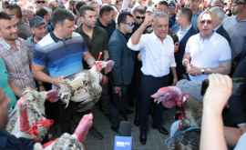 Попович об индюках брошенных во двор Президентуры Преступный жест в стиле мафии ВИДЕО