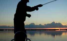 Рыбалке зеленый свет Завершился период запрета