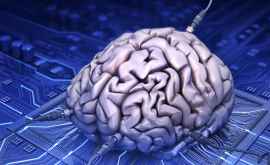 Oamenii de știință au reuşit să conecteze între ele creierele a 3 oameni