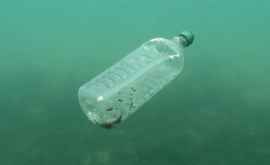 Greenpeace Rîurile din Marea Britanie se sufocă în plastic