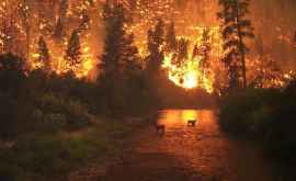 Un puternic incendiu de pădure a izbucnit în Spania