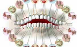 Citim bolile după dinți Doctorii sînt surprinși de exactitatea acestei metode