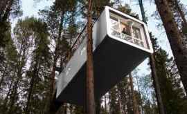 În Danemarca sa deschis primul hotel întrun copac