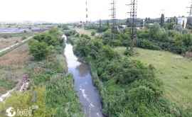 Ecodava требует от Минэкологии срочных мер для прекращения загрязнения реки Бык DOC