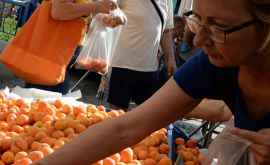 Первая партия молдавских абрикосов и черешни доставлена в Германию