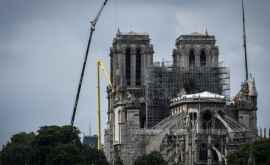 Ce sumă a fost colectată pentru recontrucția Notre Dame de Paris