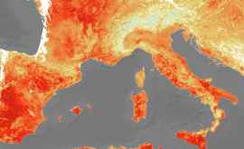 Посмотрите как рекордная жара в Европе выглядит из космоса
