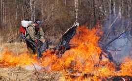 Incendii de pădure în Rusia voluntarii crează hărți prin satelit cu zonele fierbinți luptă împotriva incendiilor și instruiesc oamenii