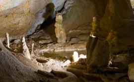 Пожарные в Германии спасли двух мужчин заблокированных в пещере