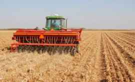 Cît de mult va fi afectat sectorul agricol din cauza vremii din acest an
