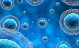 Au fost create celule artificiale pentru tratamentul cancerului