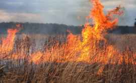 Moldova în pericol Mai multe zone cu vegetaţie pot arde în orice clipă