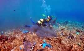 Un golf plin de corali din plastic descoperit în Grecia