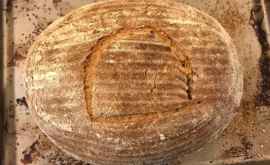 Pîine din Egiptul Antic coaptă cu drojdii 4500 de ani