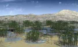 Археологи обнаружили в Китае древнейший лес на территории Азии Он рос 359372 млн лет назад