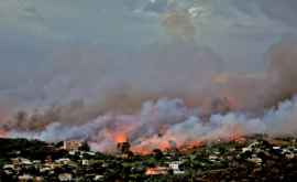 Caniculă vînt și secetă în Grecia Pomperii luptă cu peste 50 de incendii
