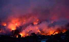 Incendiile de pădure amenință siguranța oamenilor în Atena