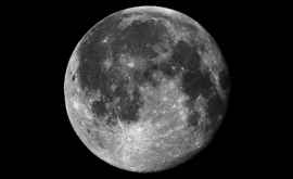 Разбившийся при посадке израильский Берешит мог занести на Луну образцы земной жизни