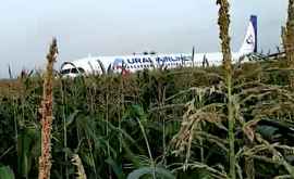 Самолет с 234 пассажирами на борту совершил вынужденную посадку на поле