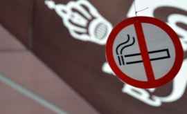 На используемые в электронных сигаретах аэрозоли распространяются те же правила что и на табачные изделия