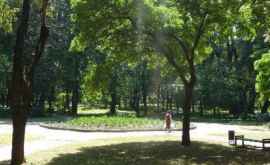Parcul Alunelul renovat în proporție de 80