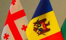 Грузия готова реализовать совместные инвестпроекты с Молдовой