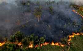 Norii de fum rezultaţi din incendiile de pădure din Brazilia fotografiaţi din satelit