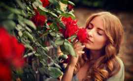 Исследование аромат розы способствует учению