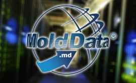 Службу информационных технологий и кибербезопасности объединят с MoldData 