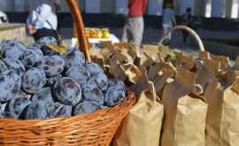Отечественные производители организовали в Кишиневе фруктовую ярмарку