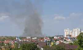 Incendiu în apropiere de localitatea Dumbrava Focul se apropie de case