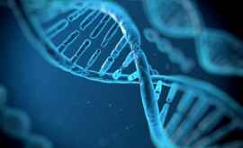 Vindecarea omului prin gîndire este reală descoperirea geneticienilor la nivel de ADN