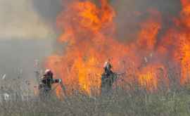 Метеопредупреждение Чрезвычайная пожарная опасность в Молдове