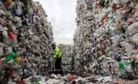 Более 70 жителей Кишинева сортируют мусор