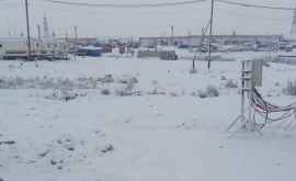 Orașul din Rusia în care a căzut prima ninsoare 