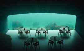 Самый большой в мире подводный ресторан в Норвегии