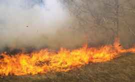 Возгорание растительности в столице ФОТО