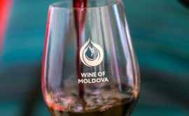 Moldova intenționează săși dubleze cota pe piața vinului din Rusia