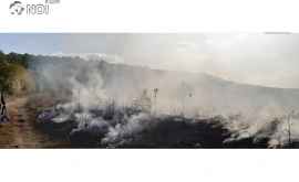 Incendiu lîngă piscicola Ivancea Focul a fost localizat FOTO