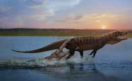 Asemeni crocodililor carnivorele terorizau dinozaurii în sudul Africii acum 210 milioane de ani