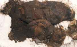 O pereche de cizme din piele veche de 600 de ani a fost descoperită în Scoția