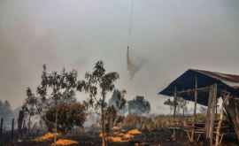 Власти Индонезии потушили 90 лесных пожаров