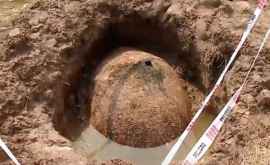 În Argentina a fost găsită carapacea unui tatu gigant 