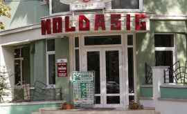 Statul a scos din nou la vînzare acțiunile Moldasig în pofida deciziei Consiliului Suprem de Securitate
